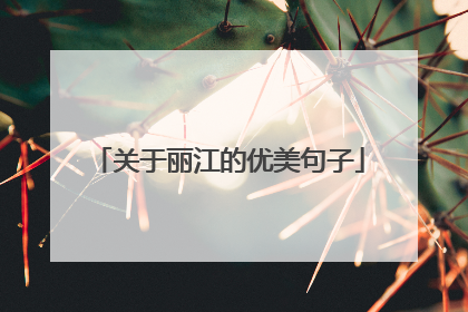 关于丽江的优美句子