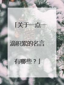 关于一点一滴积累的名言有哪些？