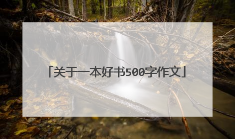 关于一本好书500字作文
