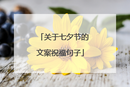 关于七夕节的文案祝福句子
