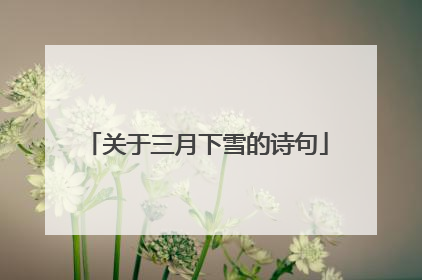 关于三月下雪的诗句