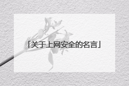 关于上网安全的名言