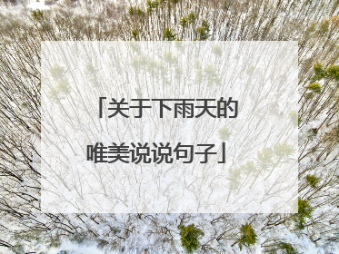 关于下雨天的唯美说说句子