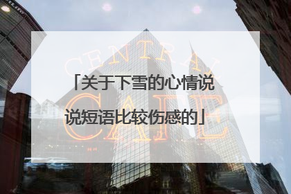 关于下雪的心情说说短语比较伤感的