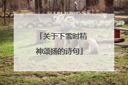 关于下雪时精神颂扬的诗句