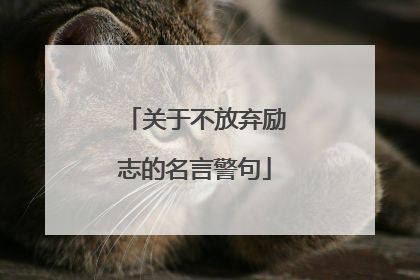 关于不放弃励志的名言警句