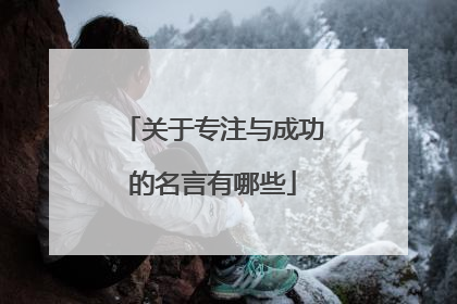 关于专注与成功的名言有哪些