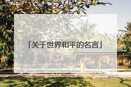 关于世界和平的名言