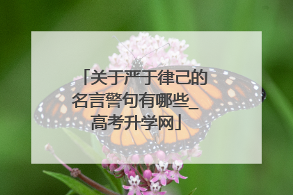 关于严于律己的名言警句有哪些_高考升学网