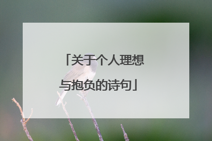 关于个人理想与抱负的诗句