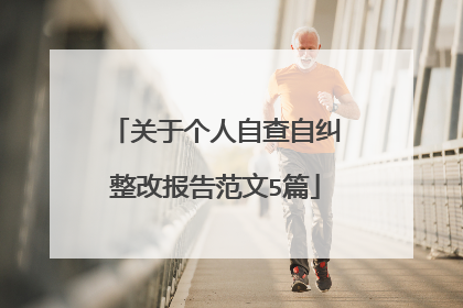 关于个人自查自纠整改报告范文5篇