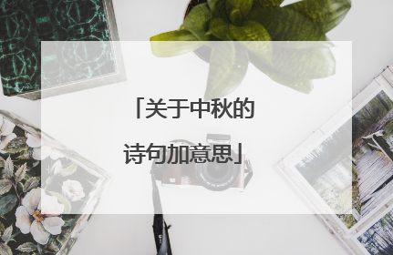 关于中秋的诗句加意思