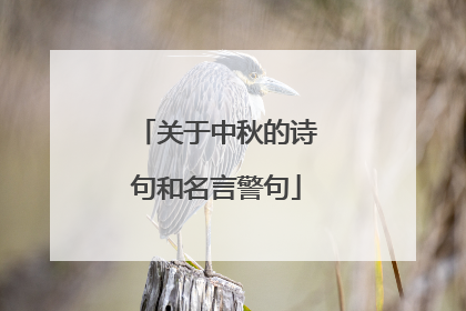 关于中秋的诗句和名言警句
