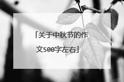 关于中秋节的作文500字左右