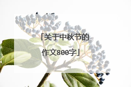 关于中秋节的作文800字