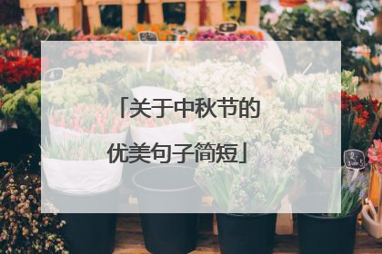 关于中秋节的优美句子简短