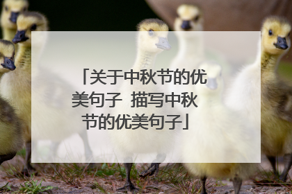 关于中秋节的优美句子 描写中秋节的优美句子