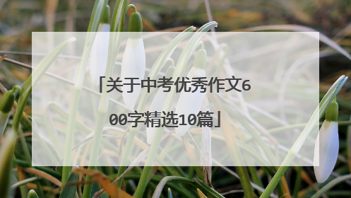 关于中考优秀作文600字精选10篇