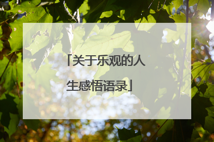 关于乐观的人生感悟语录