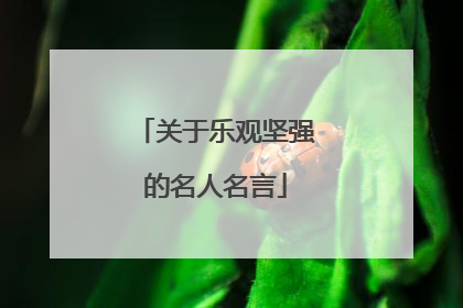 关于乐观坚强的名人名言