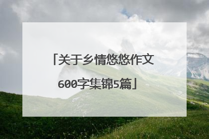 关于乡情悠悠作文600字集锦5篇