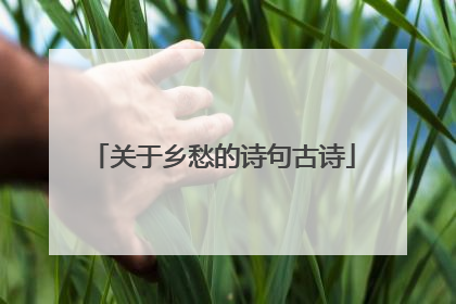 关于乡愁的诗句古诗