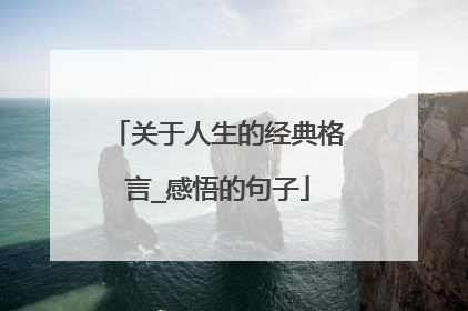 关于人生的经典格言_感悟的句子