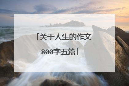 关于人生的作文800字五篇
