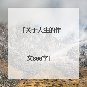 关于人生的作文800字