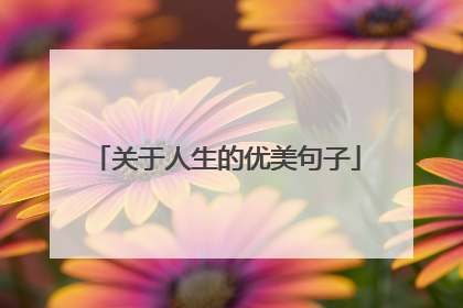 关于人生的优美句子