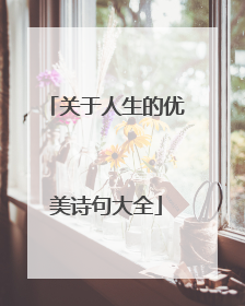关于人生的优美诗句大全
