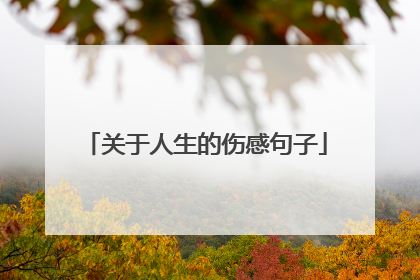 关于人生的伤感句子