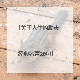 关于人生的励志经典名言20句