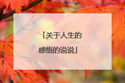 关于人生的感悟的说说