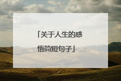 关于人生的感悟简短句子