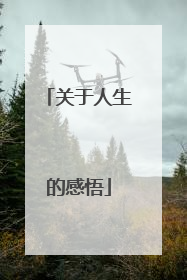 关于人生的感悟