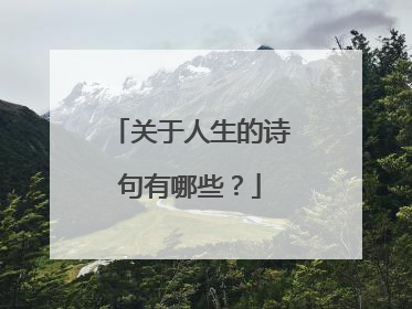 关于人生的诗句有哪些？