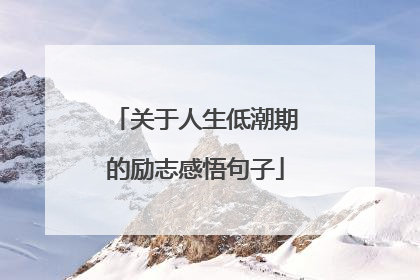关于人生低潮期的励志感悟句子