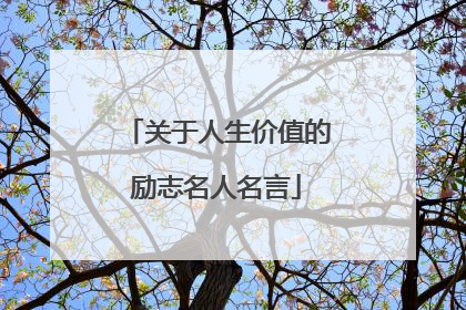 关于人生价值的励志名人名言