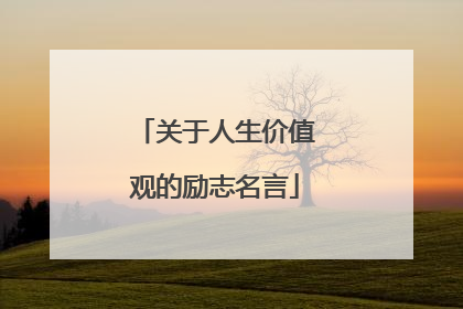 关于人生价值观的励志名言