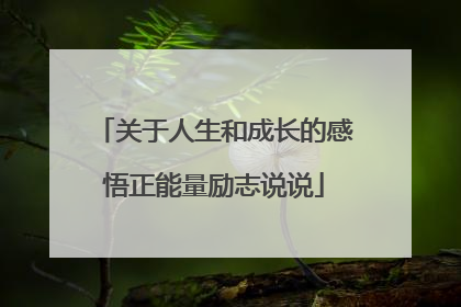 关于人生和成长的感悟正能量励志说说