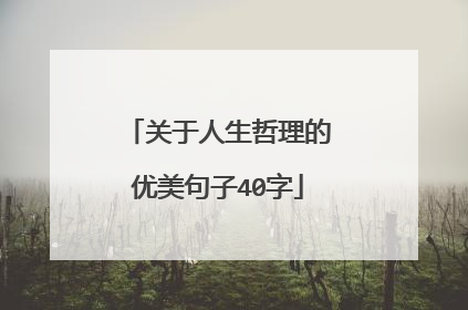 关于人生哲理的优美句子40字