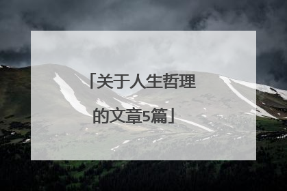 关于人生哲理的文章5篇