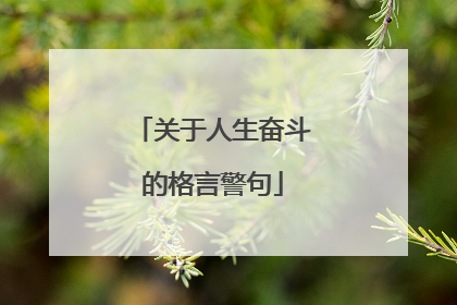 关于人生奋斗的格言警句