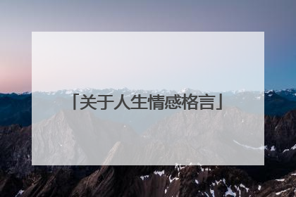 关于人生情感格言