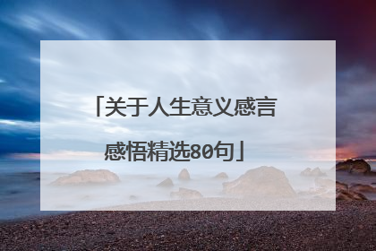 关于人生意义感言感悟精选80句