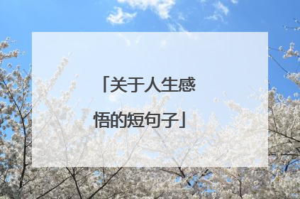 关于人生感悟的短句子