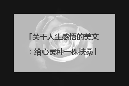 关于人生感悟的美文：给心灵种一株扶桑