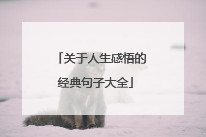 关于人生感悟的经典句子大全
