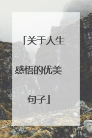 关于人生感悟的优美句子